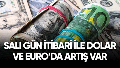 Salı günü itibari ile Dolar ve Euro'da artış var