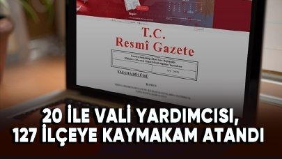 20 ile vali yardımcısı, 127 ilçeye kaymakam atandı