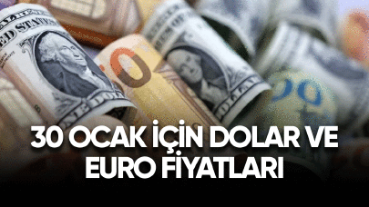 30 Ocak için Dolar ve Euro fiyatları