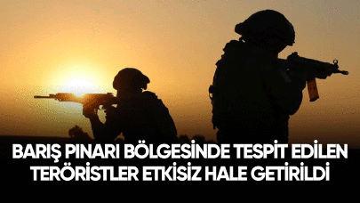 Barış Pınarı bölgesinde tespit edilen teröristler etkisiz hale getirildi