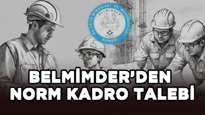 Belediye ve il özel idare şirketlerinde görev yapan personelin norm kadro talebi