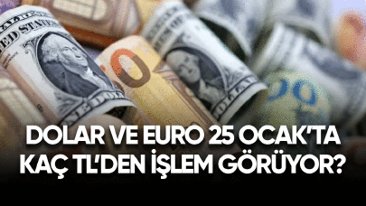 Dolar ve Euro 25 Ocak'ta kaç TL'den işlem görüyor?