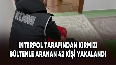 Interpol tarafından kırmızı bültenle aranan 42 kişi Kafes-31 operasyonlarıyla yakalandı