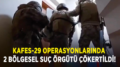 Kafes-29 operasyonlarında 2 bölgesel suç örgütü çökertildi!