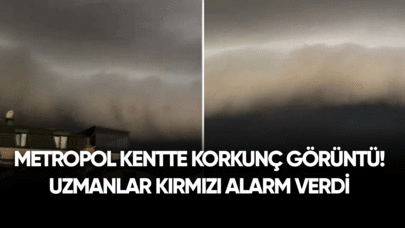 Metropol Kentte korkunç görüntü! Uzmanlar kırmızı alarm verdi