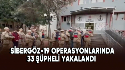 Sibergöz-19 operasyonlarında 33 şüpheli yakalandı