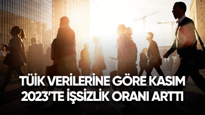 TÜİK verilerine göre Kasım 2023'te işsizlik oranı arttı