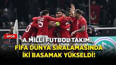 A Milli Futbol Takımı, FIFA dünya sıralamasında iki basamak yükseldi!