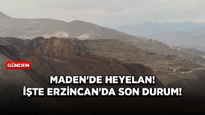 Maden'de heyelan! İşte Erzincan'da son durum!