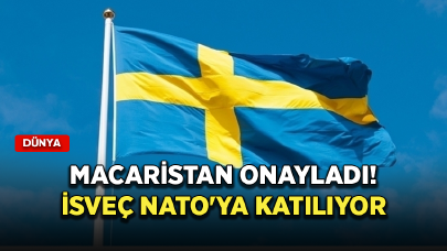 Macaristan onayladı! İsveç NATO'ya katılıyor