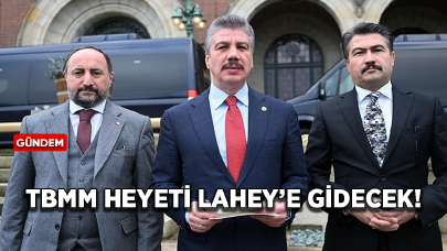 TBMM heyeti, Türkiye'nin Uluslararası Adalet Divanındaki sunumu için Lahey'e gidecek