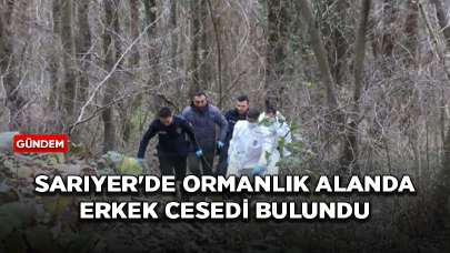 Sarıyer'de ormanlık alanda erkek cesedi bulundu