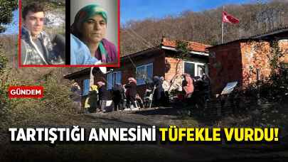 Tartıştığı annesini tüfekle vurdu!