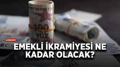 Emekli ikramiyesi ne kadar olacak? Ekonomist paylaştı!