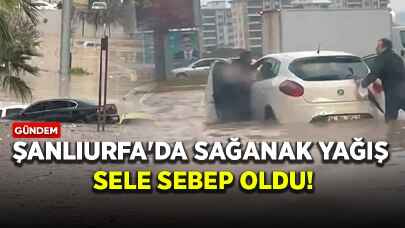 Şanlıurfa'da sağanak yağış sele sebep oldu