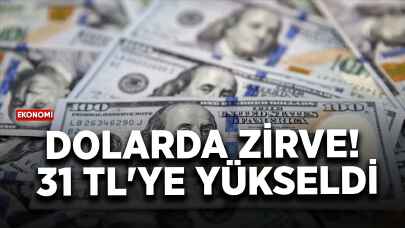 Dolarda zirve! 31 TL'ye yükseldi