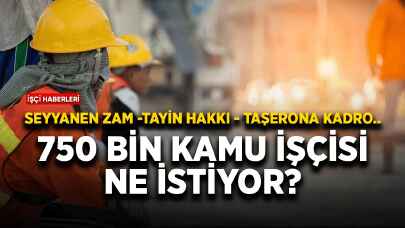 750 bin kamu işçisi ne istiyor?