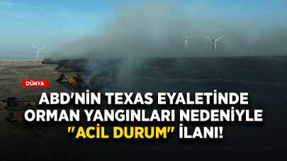 ABD'nin Texas eyaletinde orman yangınları nedeniyle "acil durum" ilanı!