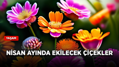 Nisan ayında hangi çiçekler ekilir?