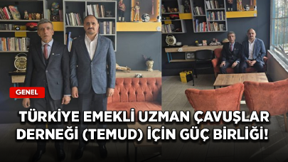 Türkiye Emekli Uzman Çavuşlar Derneği (TEMUD) için güç birliği!