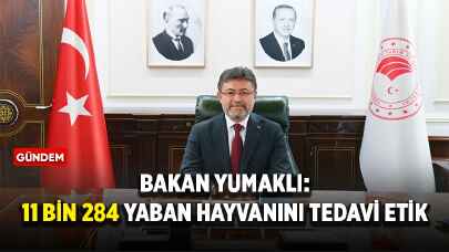 Bakan Yumaklı: 11 bin 284 yaban hayvanını tedavi ettik