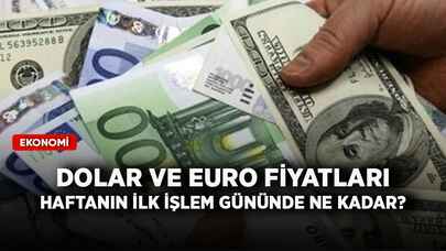 Dolar ve Euro fiyatları haftanın ilk işlem gününde ne kadar?