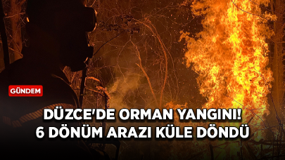 Düzce'de orman yangını! 6 dönüm arazi küle döndü