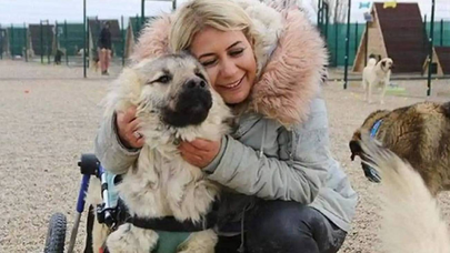 Kuduz köpekleri Ankara'ya taşıdığı iddiasıyla tutuklanmıştı: Buket Özgünlü tahliye edildi