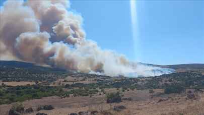 Çanakkale'de bir orman yangını daha: Bir mahalle tahliye edildi