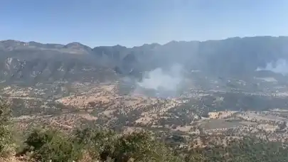 PKK’nın hain planı: Gizlenmek için ormanları yakıp suçu TSK’ya atıyorlar