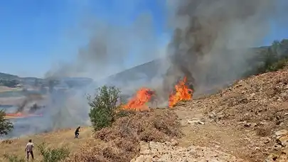 Muğla'da ormanlık alanda yangın: Müdahaleler sürüyor