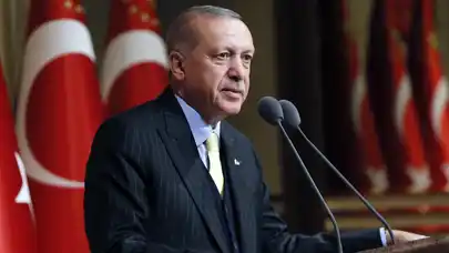 Cumhurbaşkanı Erdoğan: Bizler Türkiye ve Sırbistan olarak el ele bir adım atmalıyız