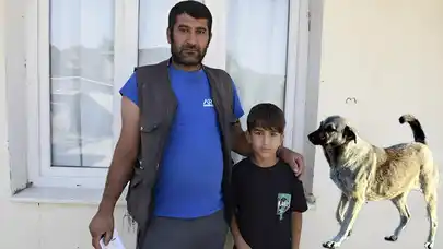 Manisa'da sahipsiz köpeğin saldırısına uğrayan çocuk yaralandı