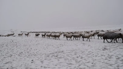 Erken gelen kış, Altınyayla’da koyunların yayladan indirilmesine neden oldu