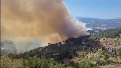 Kahramanmaraş'ta orman yangını çıktı: Ekipler müdahaleye başladı