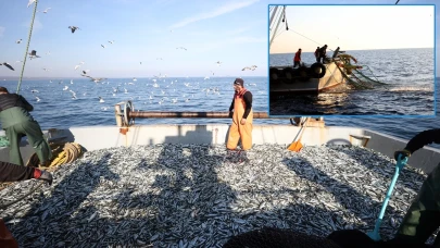 Karadeniz'de çinekop ve istavrit bolluğu!