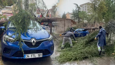 Kartal'da korkutan olay: Otomobil üzerine ağaç devrildi