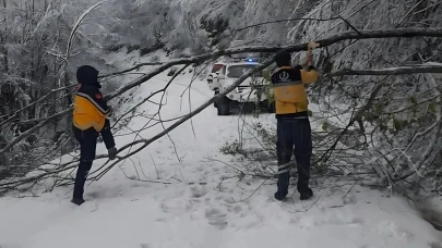 Ordu'da karda mahsur kalan 4 kişiyi arama kurtarma çalışmaları sürüyor