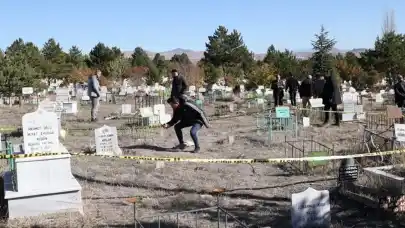 Bebek cesedi yabani hayvanlar tarafından çıkarıldı