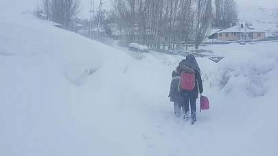 Bingöl ve Tunceli'de eğitime bir gün ara verildi