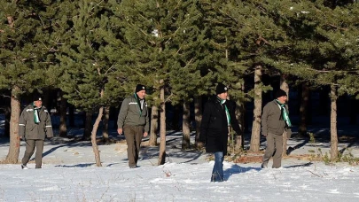 Ormanlarda ‘yılbaşı nöbeti’ başladı