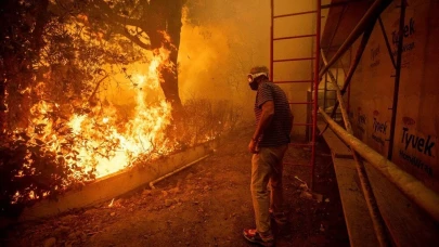 Kaliforniya'da yangın felaketi: 500 dönüm alan küle döndü