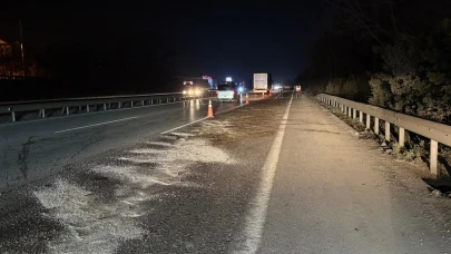 Sakarya'da otoyol kenarında parçalanmış ceset bulunmuştu: Kimliği belirlendi