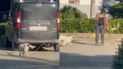 Olta ucuna bağladığı canlı güvercinle köpek eğiten kişiye para cezası