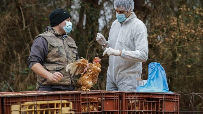 Kuş gribi nedeniyle pazarlar kapatıldı!