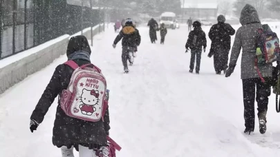 İstanbul'da hangi ilçelerde okullar tatil edildi?