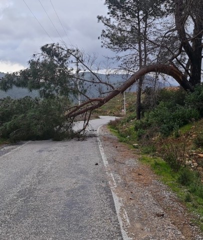 Bodrum'u fırtına vurdu, caddeler göle döndü!