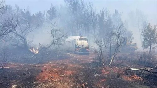 İki ilçeden sonra Manavgat'ta da orman yangını çıktı!