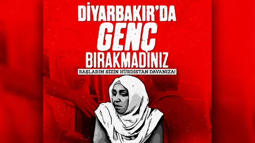 Diyarbakırlı kadından Dem Partili vekillere sert tepki: "Başlarım sizin Kürdistan davanıza"