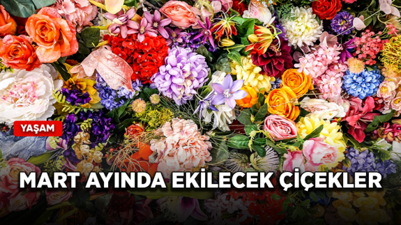 Mart ayında hangi çiçekler ekilmeli?